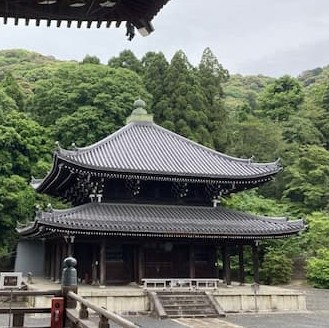 知恩院の寄棟屋根