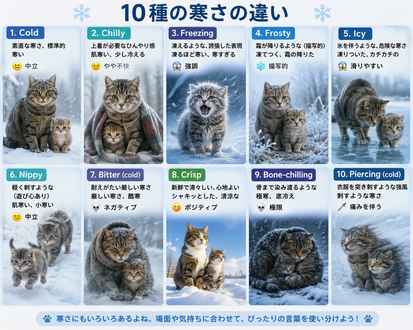 05_winter_cold_10_cats - 現役通訳ガイドも愛用 | Beyond AI ブログ