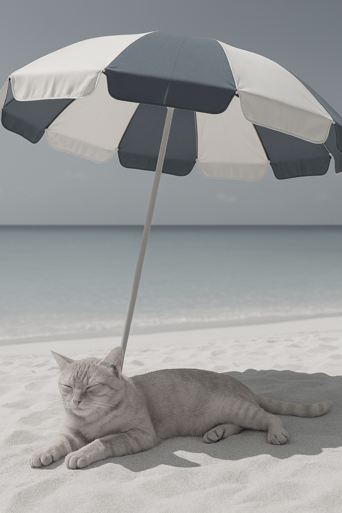 a cute real cat lyin beach mono - インバウンドビジネス最前線の方々へ!AIの上に立つ情報収集をアシスト