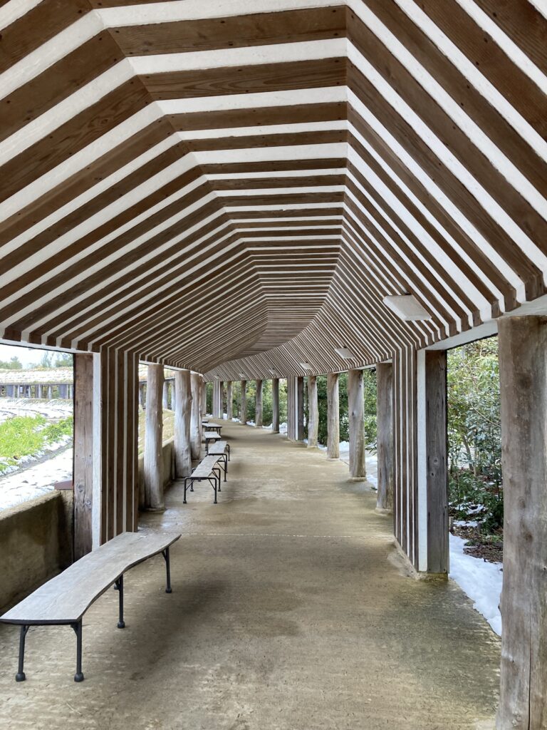 お菓子の国3 - インバウンドビジネス最前線の方々へ!AIの上に立つ情報収集をアシスト