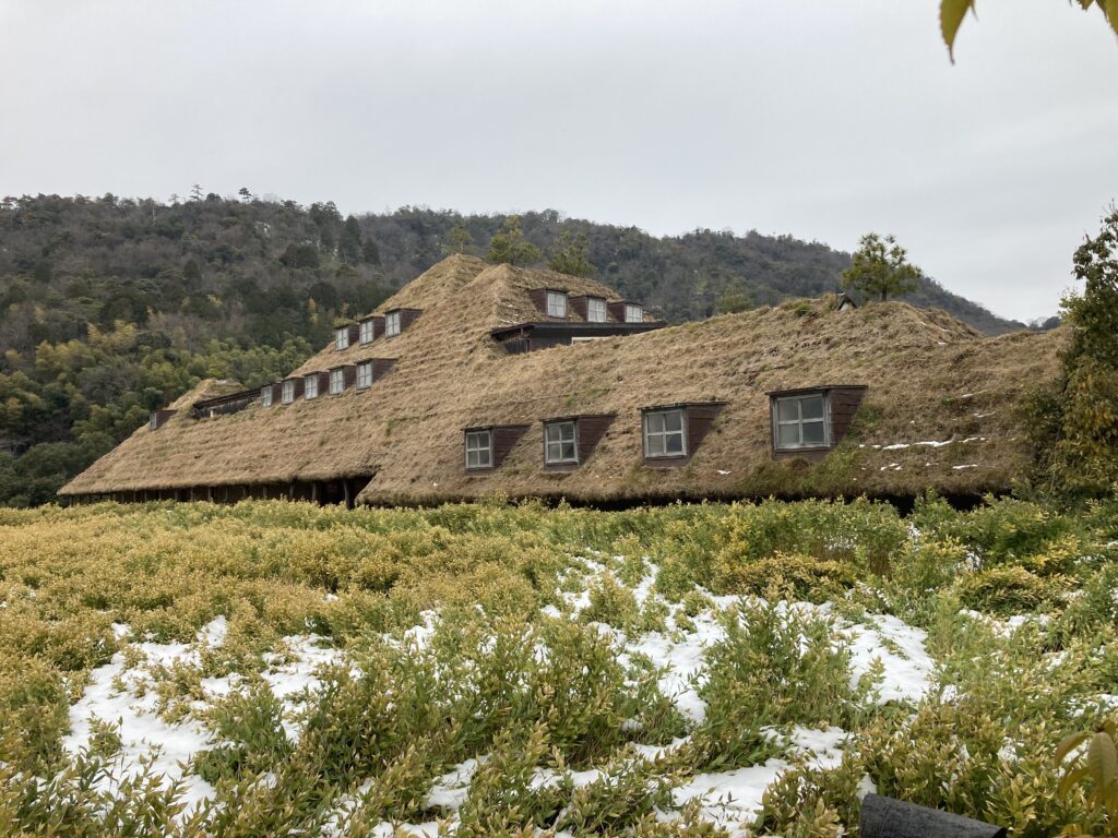 お菓子の国4 - インバウンドビジネス最前線の方々へ!AIの上に立つ情報収集をアシスト