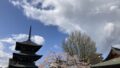 Three-tiered Japanese pagoda at a temple, with blooming cherry blossoms and a blue, partly cloudy sky in the background.