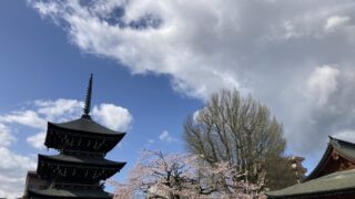 Three-tiered Japanese pagoda at a temple, with blooming cherry blossoms and a blue, partly cloudy sky in the background.