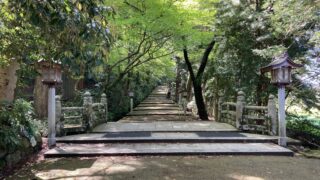 Stone footbridge with traditional lanterns along a mossy stone path surrounded by lush green trees and shadows.