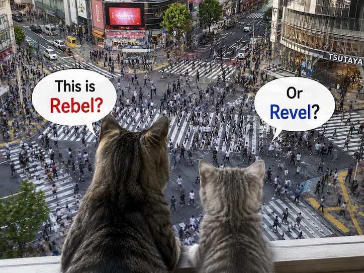 05_Shibuya-crossing-looking-down_cats - 現役通訳ガイドも愛用 | Beyond AI ブログ